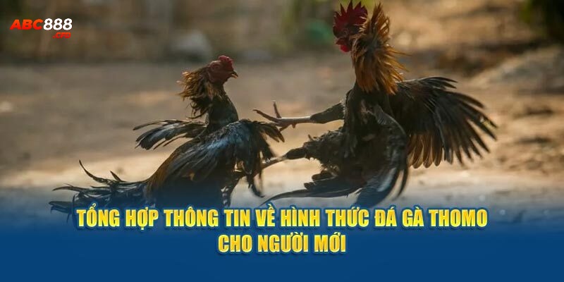 Đá gà cựa dao là hình thức đòi hỏi chú gà phải có kỹ năng